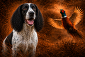Black & White Springer & Pheasant - Print on Canvas