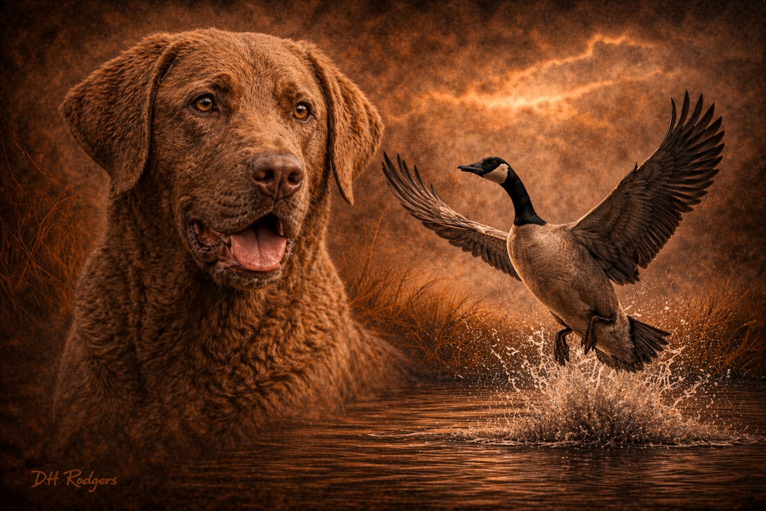 Chesapeake Bay Retriever & Canada Goose - Print on Canvas