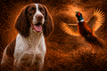 Liver & White Springer & Pheasant - Print on Canvas