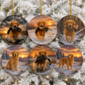 Six round ceramic Christmas ornaments hanging on a snowy tree, each printed with a golden retriever photo in different outdoor scenes at sunset and during snowfall, with several ornaments showing the retriever holding game birds.